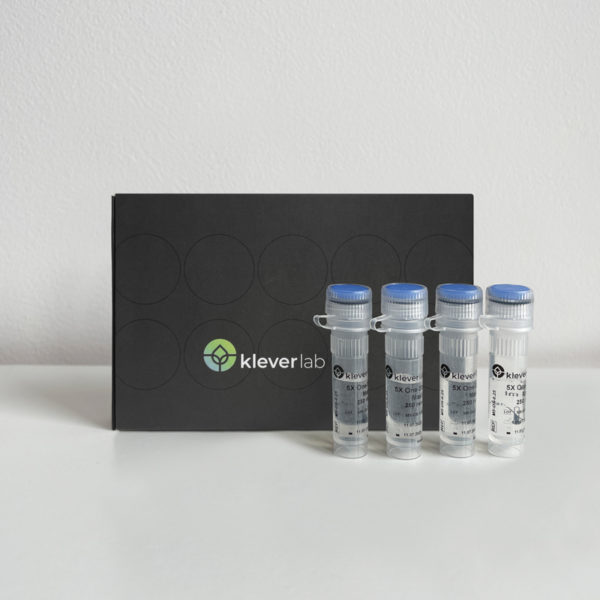 KleverTest Lyo CT PCR Kit